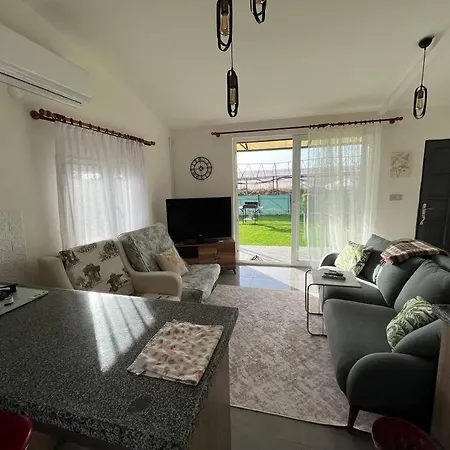 Minimal House